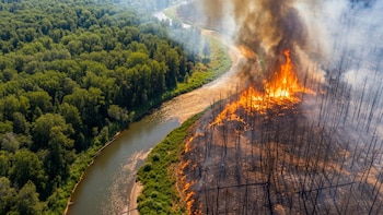 Científicos advierten que los incendios forestales podrían contaminar el agua hasta por 5 años