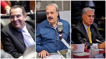 Los senadores de Morena: Ernesto