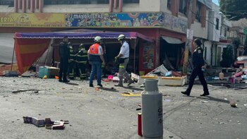 La causa del siniestro fue