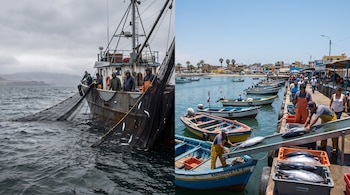 Fotografía dividida. Izquierda: barco pesquero con redes y pescadores bajo cielo gris. Derecha: puerto con botes, pescadores descargando peces grandes, edificios y cielo azul.