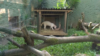 Tras unas pruebas se pudo