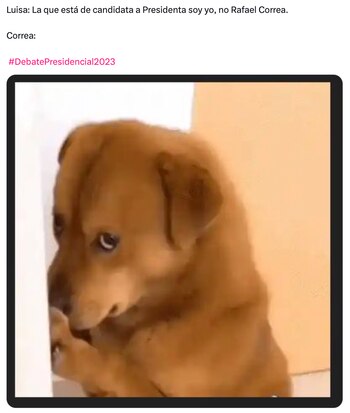 (X/@pedrotenecela81)