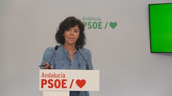 PSOE-A denuncia dos millones de