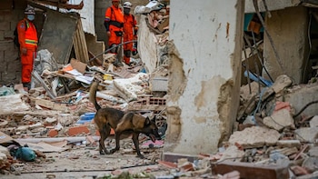 El método Rambo: así trabaja el canino de la misión salvadoreña durante búsqueda de sobrevivientes en Venezuela