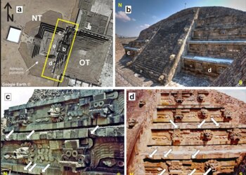 Registro de los daños causados