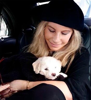 Barbra Streisand clonó a su