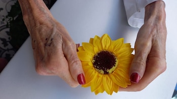 Los girasoles son el símbolo