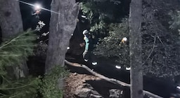 Una familia rusa hacía trekking en Bariloche y se les cayó el bebé: los investigan por negligencia