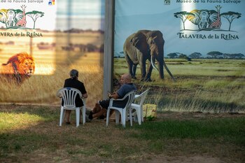 Varios desalojados por el incendio forestal esperan a conocer noticias en el recinto Talavera Ferial. (Juanma Jiménez/Europa Press)