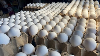 ¿Por qué cambia tanto el precio del huevo en Honduras?: así se mueve uno de los alimentos más consumidos del país