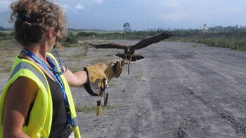 Cómo funciona el equipo de