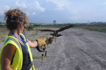 Etsá, un águila alemana, realiza