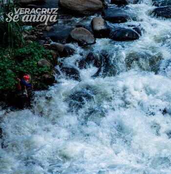 Rápidos en el río de