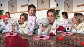 Una mujer sonriente, una niña con rostro pixelado y un perro blanco frente a una mesa de madera con un pequeño pastel y vela encendida. Dos cuadros de elefantes en la pared.