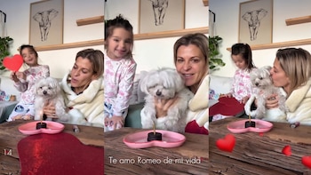 Eugenia Tobal celebró los 14 años de su perro maltés: “Te amo Romeo de mi vida”