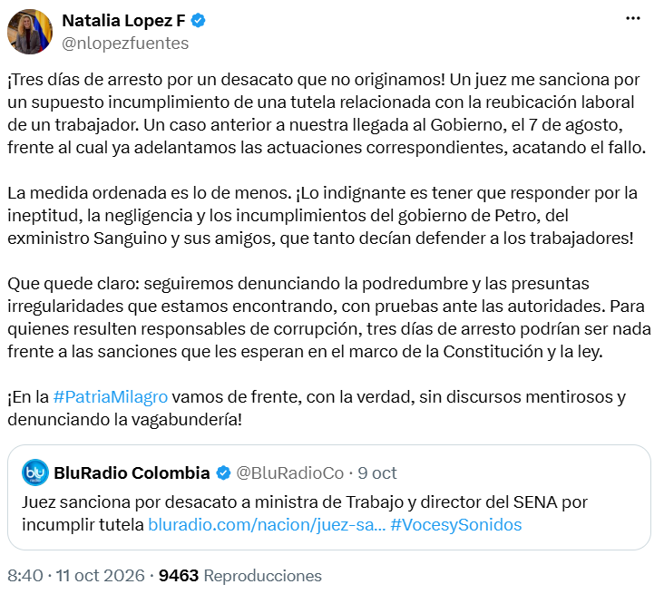 Natalia López afirmó que no originó el desacato que derivó en su sanción judicial - crédito @nlopezfuentes/X