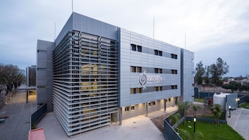 Detuvieron a una mujer por