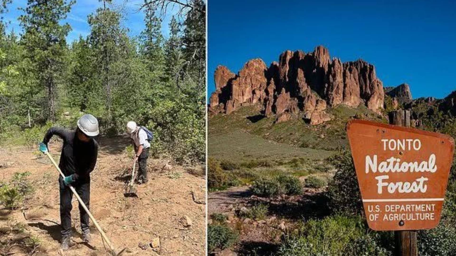 Mark Aaron Gatz convirtió durante ocho años un sector del Bosque Nacional Tonto en Arizona en un vertedero de casi media tonelada de basura (Facebook)