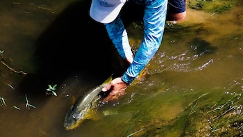 Un fin de semana para