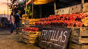 Una discusión por un puesto de frutillas terminó a los tiros en plena ruta de Santa Fe y hay tres heridos