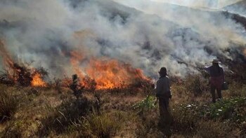 Otro incendio forestal destruyó alrededor
