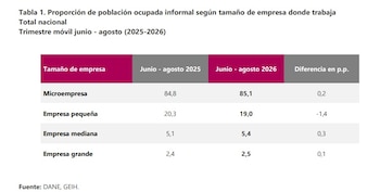 Las microempresas son las principales generadoras de empleo informal en Colombia - crédito Dane