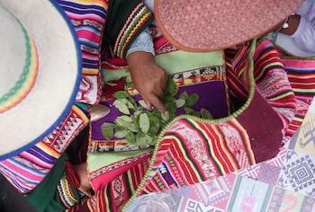Una mujer yatiri lee la