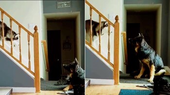 La insólita "discusión" entre dos