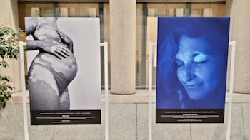 El Senado acoge la exposición