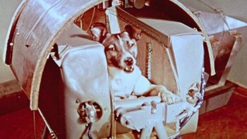 La cruel historia de la