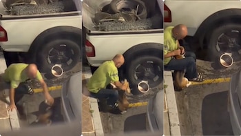 Comunidad de Bosa, en Bogotá, denunció a un hombre por ahorcar a un perro con sus manos y pidió intervención de las autoridades
