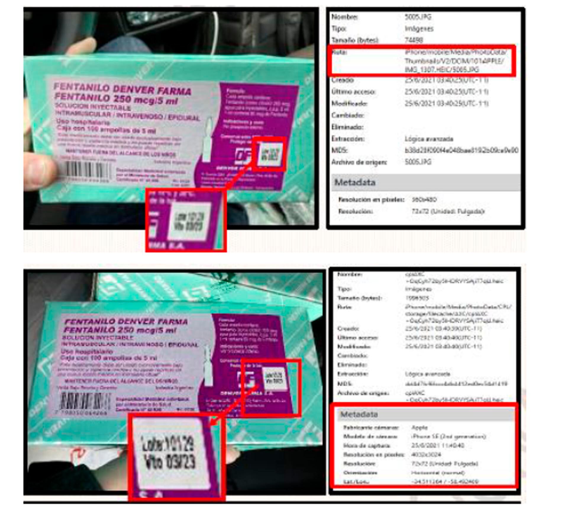 Los lotes traficados