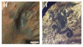 Los científicos tuvieron que revisar