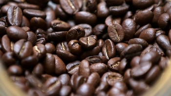 El café peruano rompe todos sus pronósticos y coloca 71,9% más de oferta en el mundo