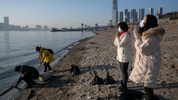 ¿Cómo se originó la pandemia?