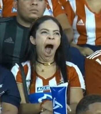 Los mejores memes que dejó