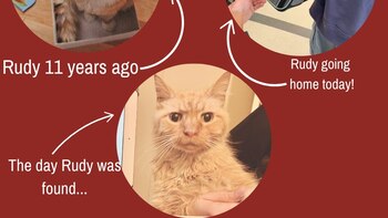 El enternecedor recuentro entre un