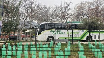 Yutong planta 1.000 árboles, como