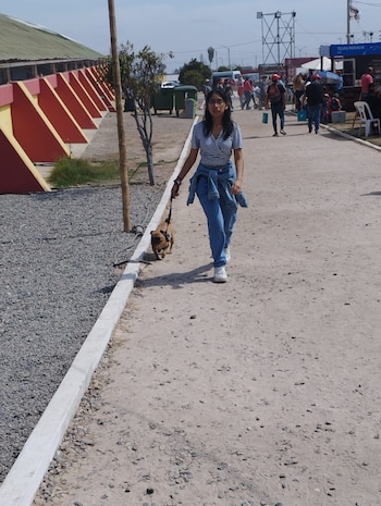 En esta feria estuvo permitida