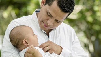 PVEM propone castigar con cárcel