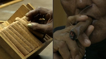 El Laguito, una fábrica inaugurada en 1966, en el oeste de La Habana, para confeccionar los puros del líder de la Revolución, Fidel Castro (1926-2016) y los que regalaba a mandatarios extranjeros, abrió sus puertas el jueves para mostrar el trabajo artesanal de sus torcedores.