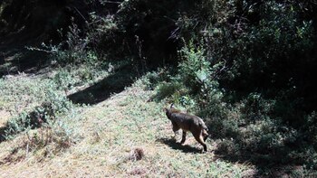 La CDMX cuenta con diversas