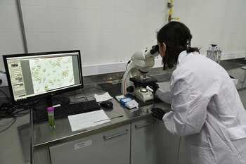 Como los síntomas de la