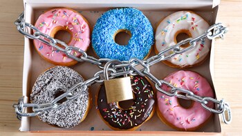 Los patrones de alimentación de