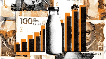 El fenómeno del Niño golpería la producción de leche: caería hasta 70% y el queso podría subir a más de $30.000 el kilo