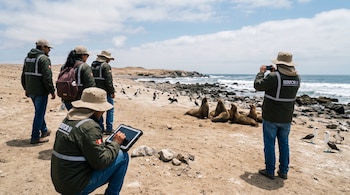Cinco especialistas de Serfor en una playa. Uno registra en tableta, otro toma fotos. Seis lobos marinos, aves, rocas, arena, mar y cielo con nubes.