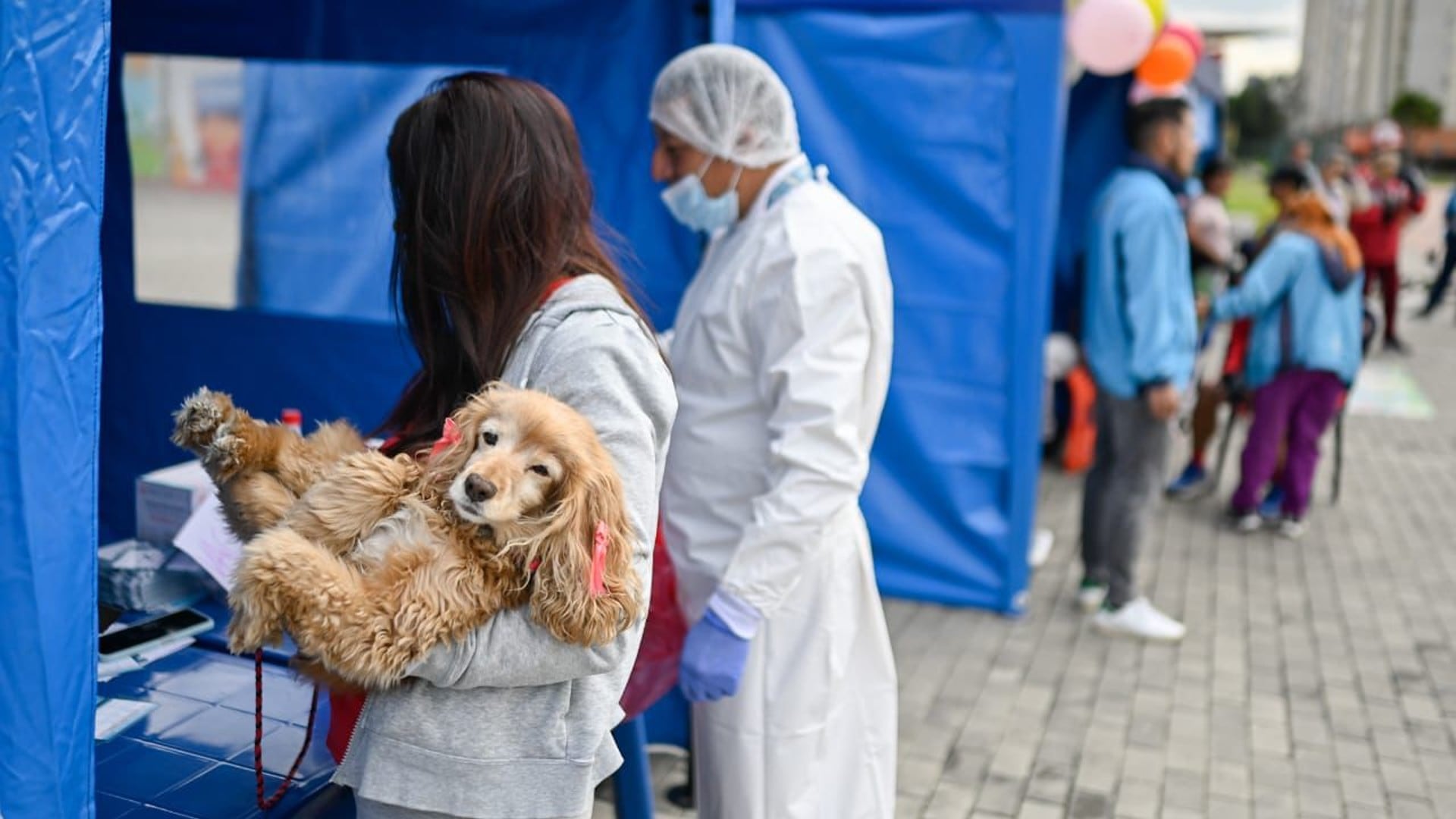 Turnos de esterilización disponibles desde hoy 16 y hasta el 20 de febrero en la Unidad de Cuidado Animal, localidad de Engativá. - crédito Secretaría Distrital de Salud