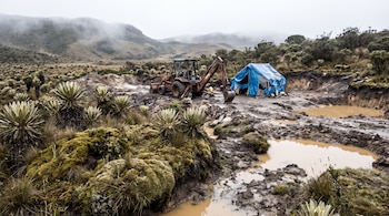 Retroexcavadora oxidada y carpa azul en un páramo andino con frailejones, musgos, suelo removido, charcos de agua turbia y cerros con niebla al fondo.