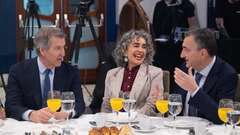 Esteban (PNV) rebaja las expectativas