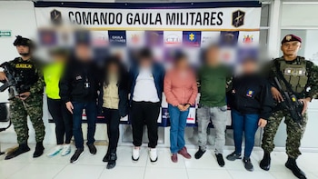 Cayó el grupo de delincuencia